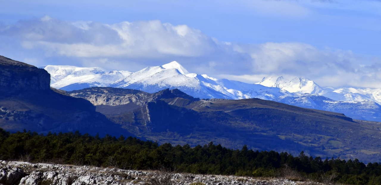 WhatsApp Image 2026-02-09 at 20.29.04 (5)